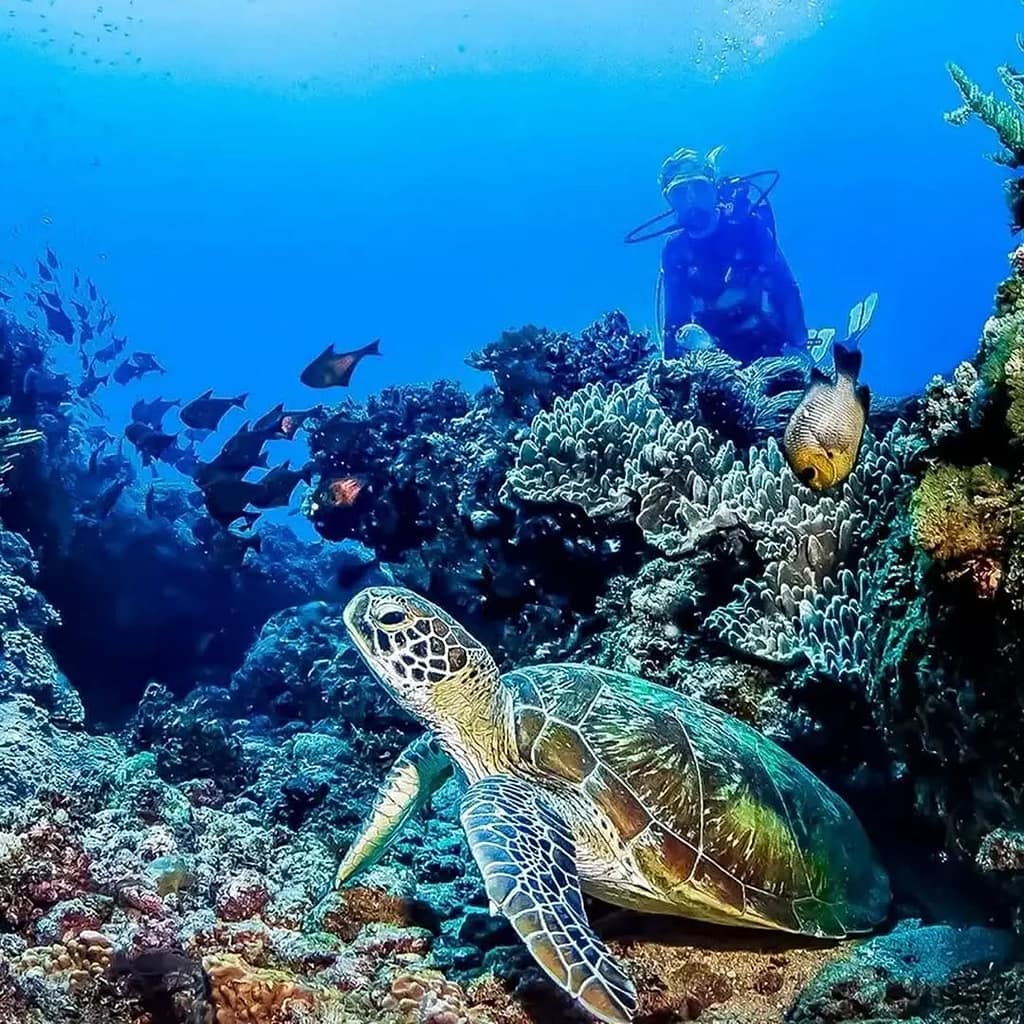 Safari in Zanzibar 1 diani 14