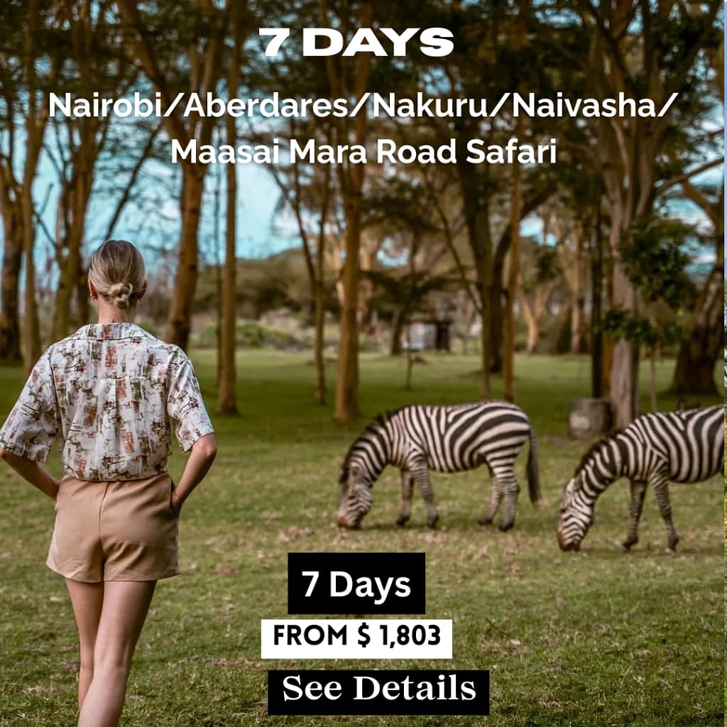 Cheap Holiday in Africa 10 11