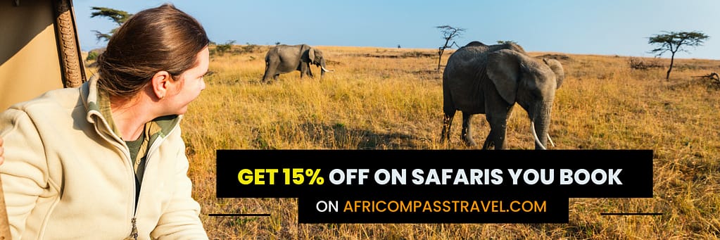 How much is Masai Mara per night? 1 Africompass 15 OFF banner 1