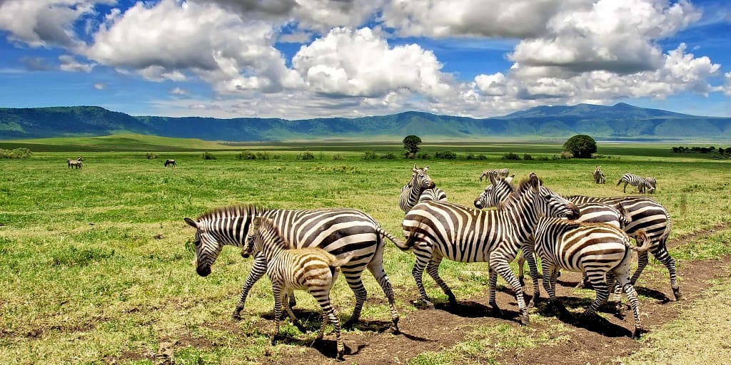 Lake Manyara and Ngorongoro Crater