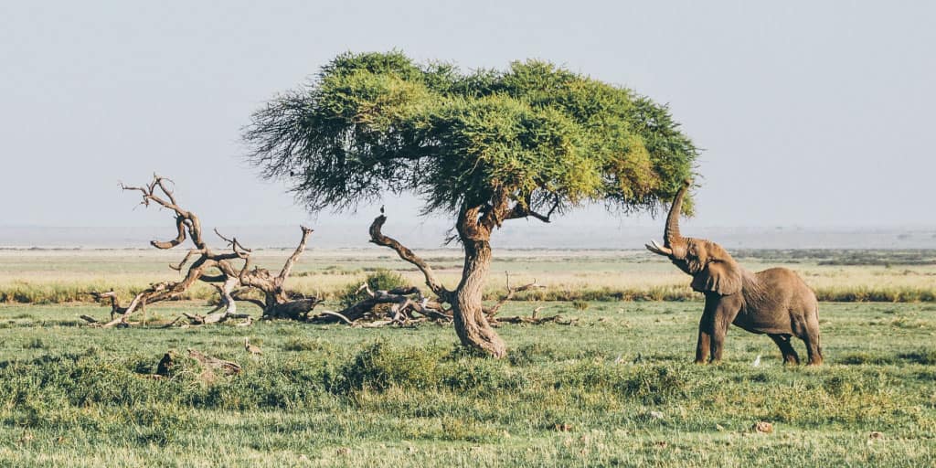 amboseli-np-africompass