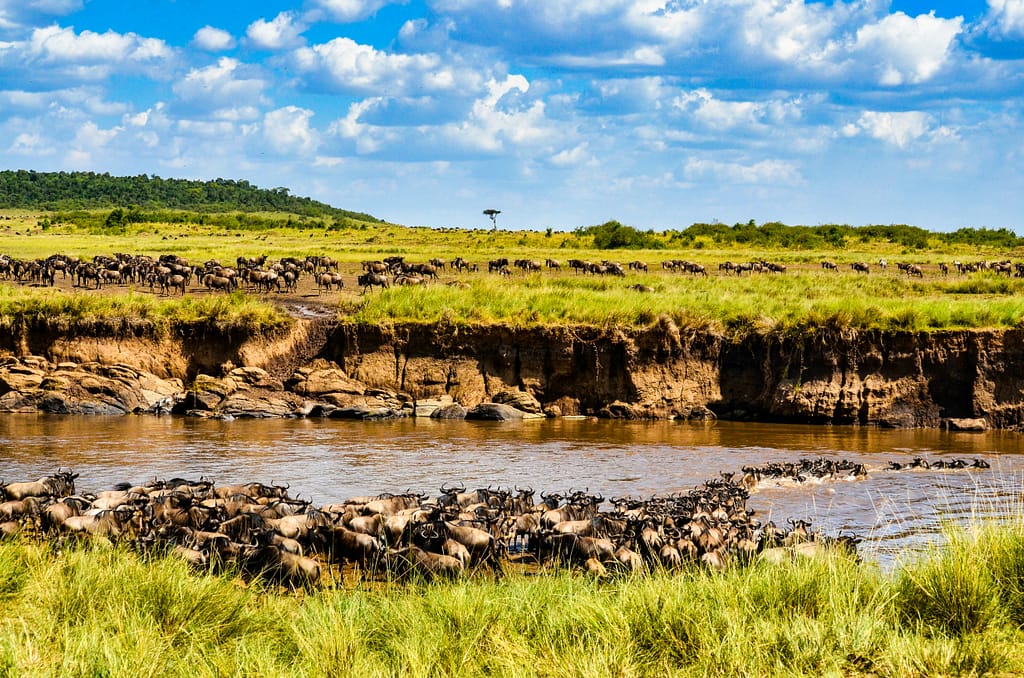 Attraction Destinations 2 maasai mara 2