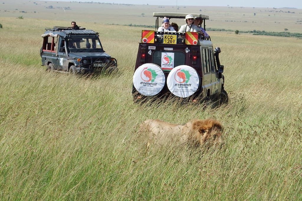 Best-tour-safaris-Travel-in-Kenya-Affordable-tour-in-westlands