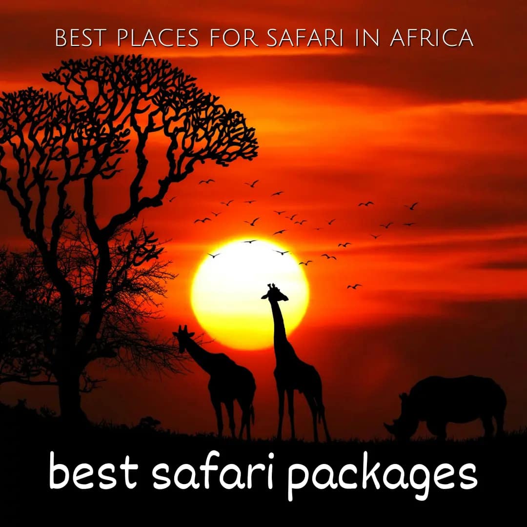 A Guide To The Best Safari In Kenya 1 kenya safari packages