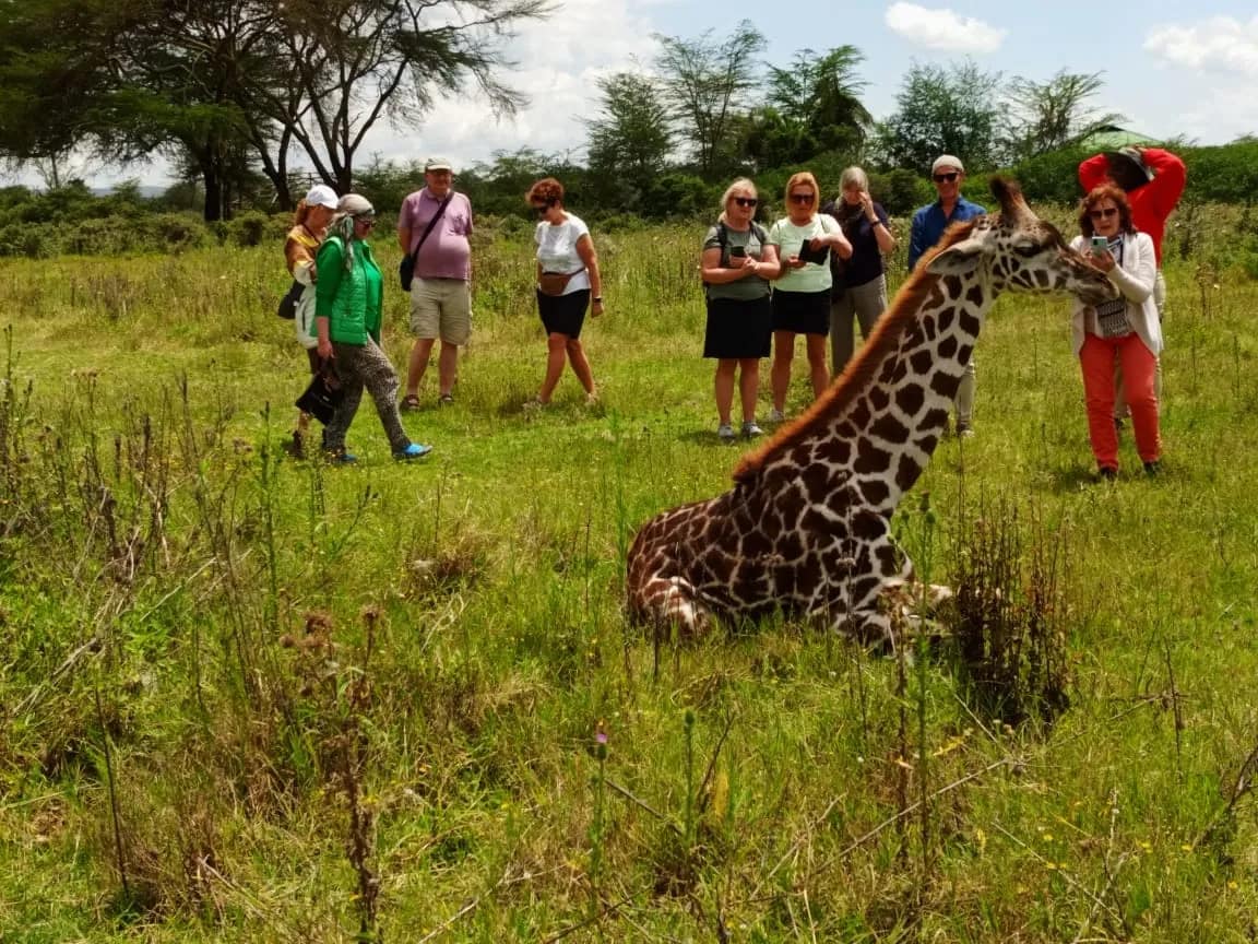 Los mejores safaris africanos 7