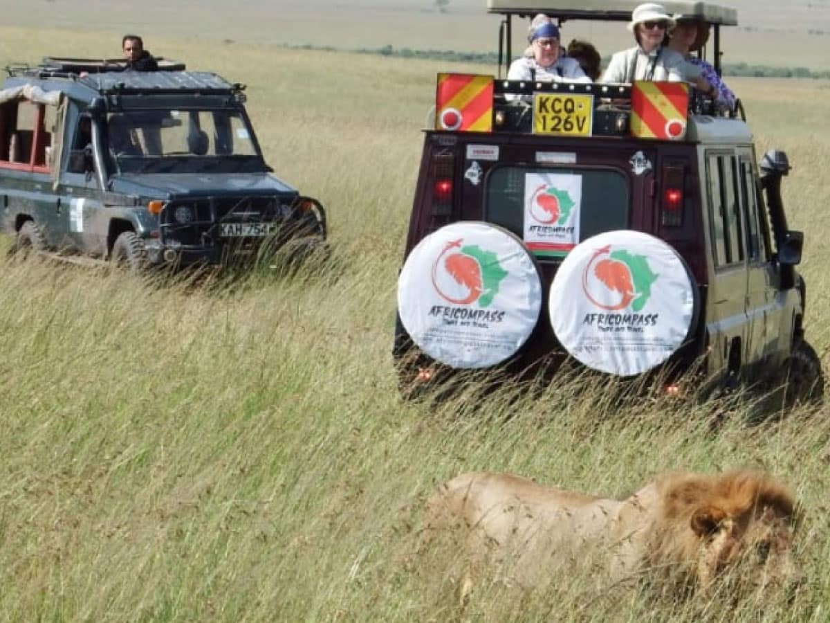 How Much Does Masai Mara Kenya Safari Cost? 1 maasai mara kenya safari costs
