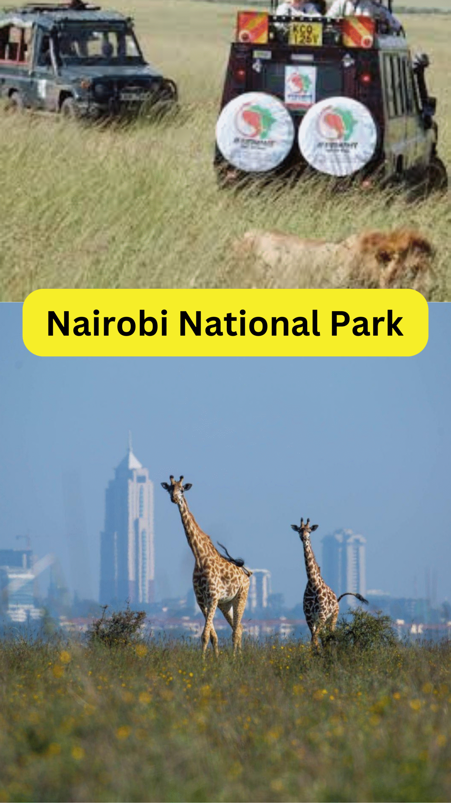 A Guide to Nairobi National Park Entrance Fees 5 Nairobi national park entrance fees