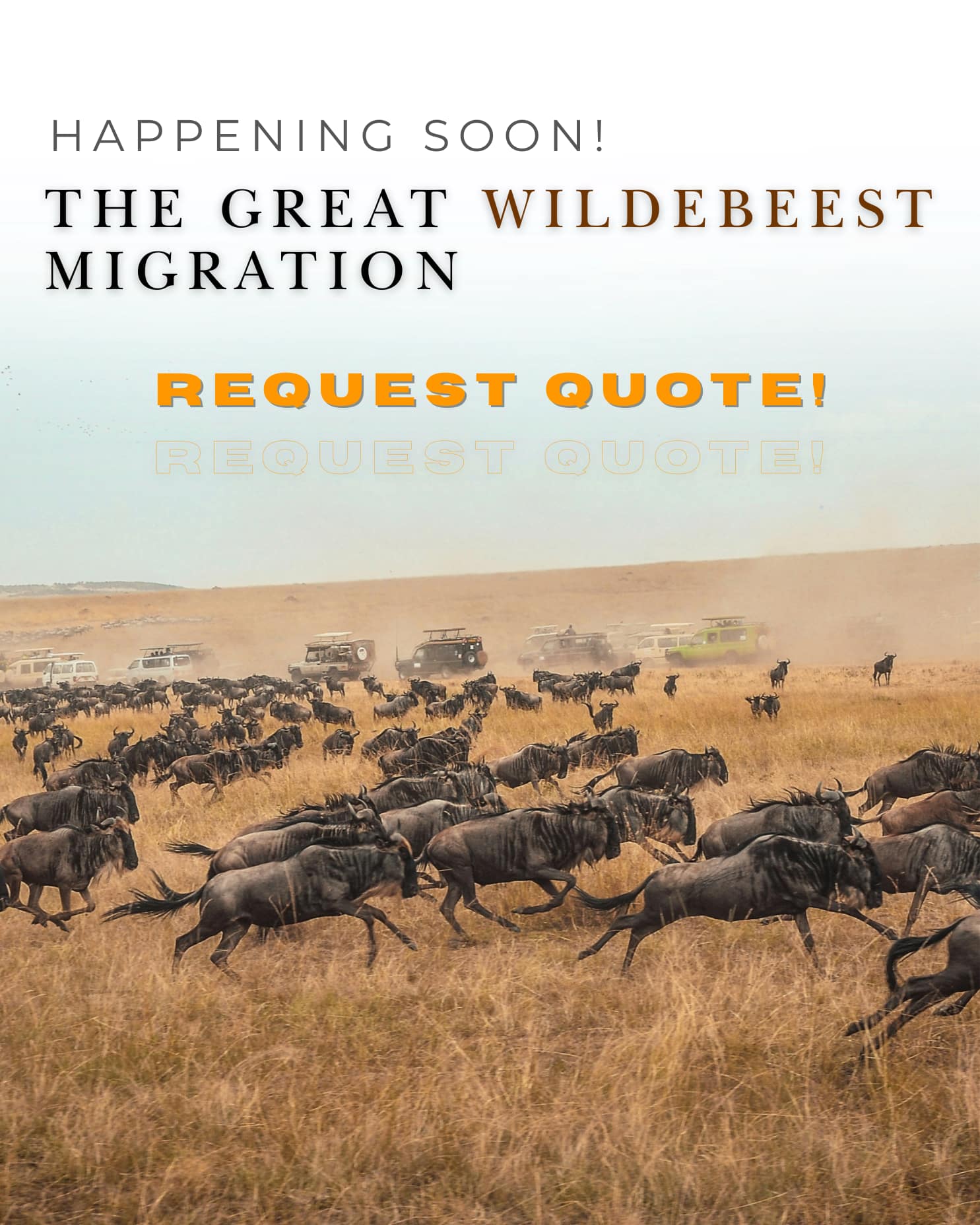 Africompass Tours and Travel 12 15 savings on safari 3