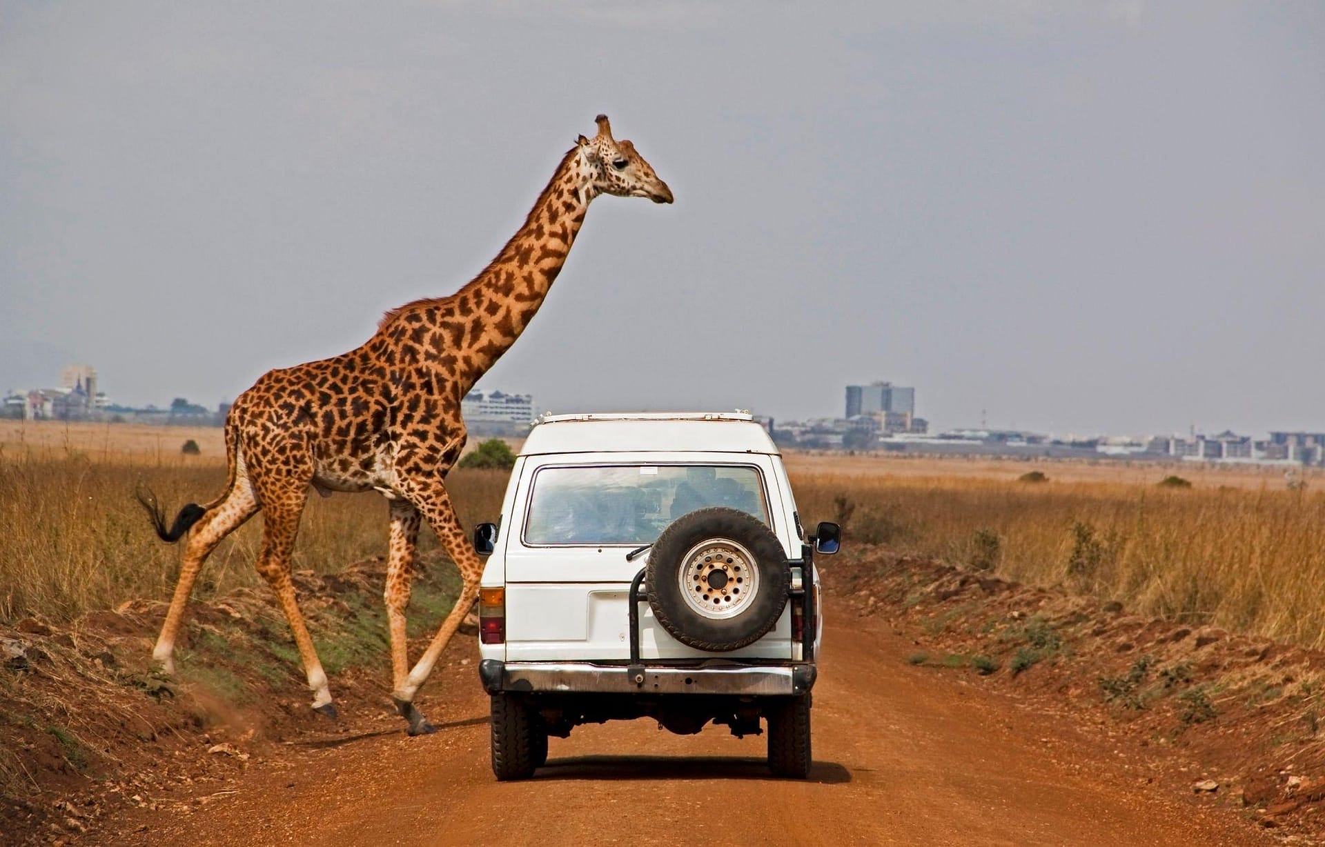 3 Awesome Days At Maasai Mara Budget Safari 4