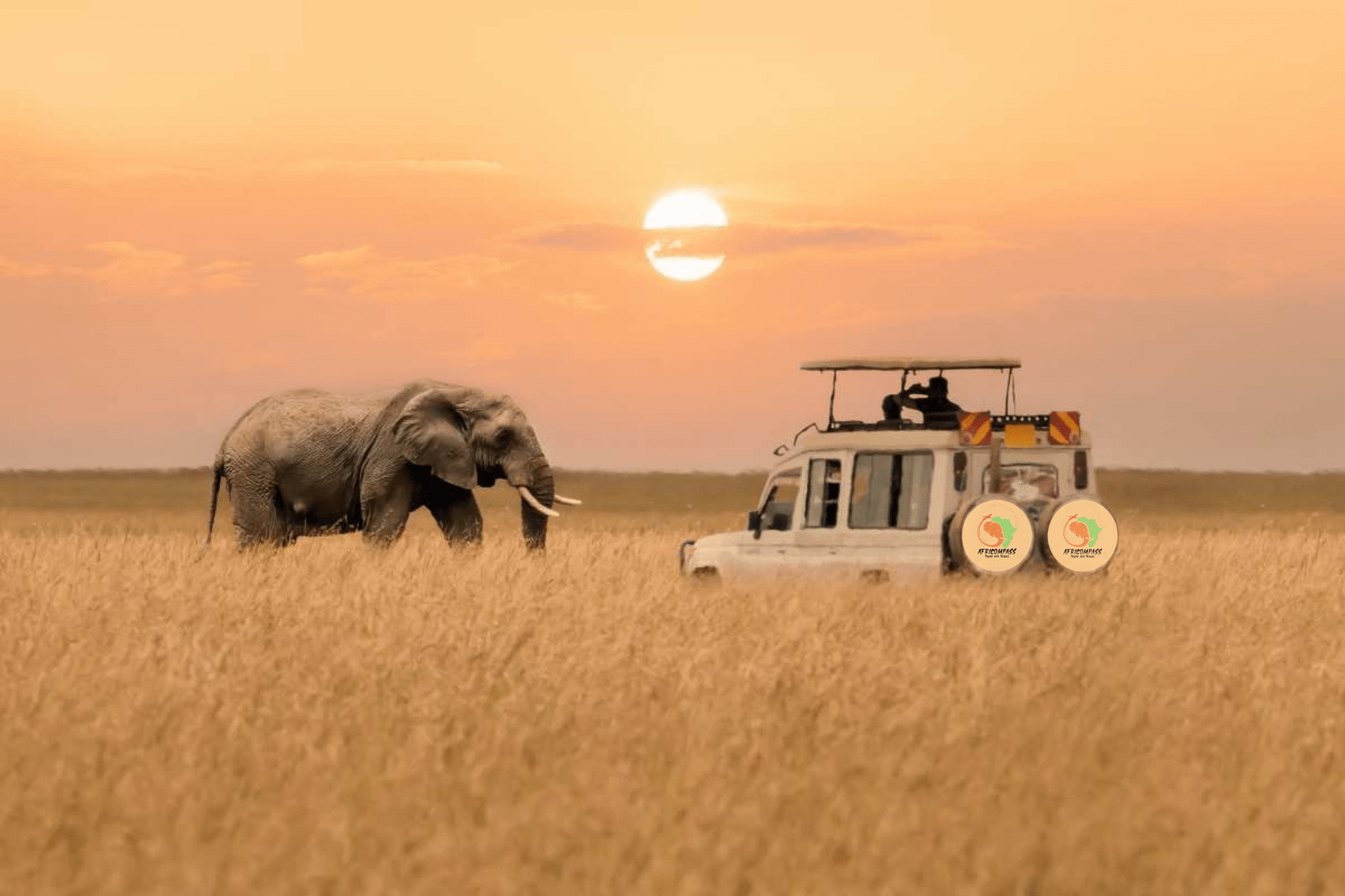 Which is the Best Travel Agency in Kenya? 1 Untitled design 4 scaled