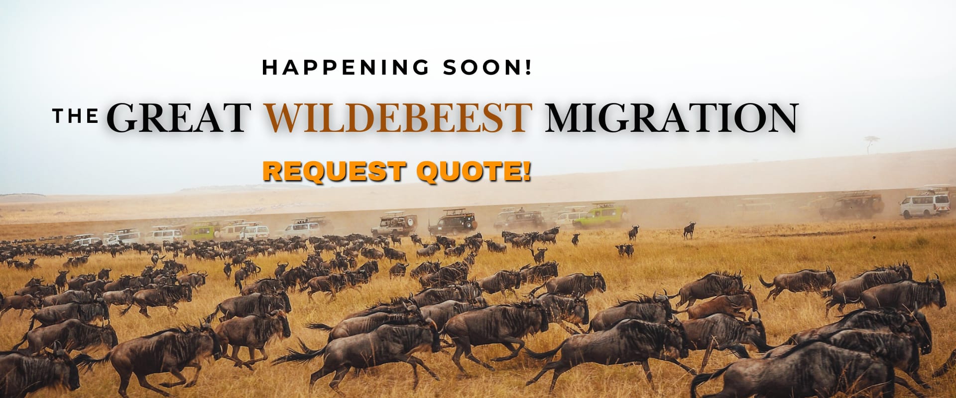 Africompass Tours and Travel 11 safari heroy