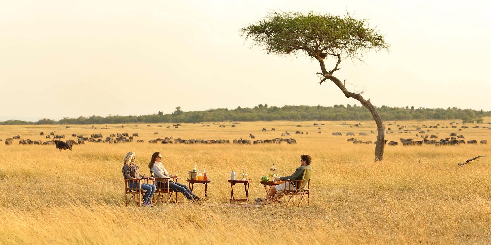 Magical Christmas Safaris in Kenya: Your Ultimate Holiday Escape 1 kimondo camp sundowners