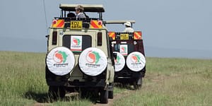 Kenya Safari 1