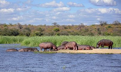 Planning a Budget-Friendly 7-Day Group Safari in Kenya 1 steptodown.com342383