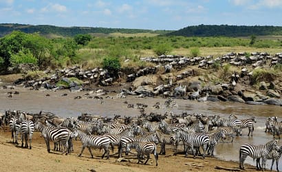 4 DAYS KENYA SAFARI TO CELEBRATE EID AL FITR, ARAFAT DAY AND EID AL ADHA HOLIDAYS 1 maasai mara 3days