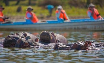 4 DAYS KENYA SAFARI TO CELEBRATE EID AL FITR, ARAFAT DAY AND EID AL ADHA HOLIDAYS 5 lake nakuru africompass (4)