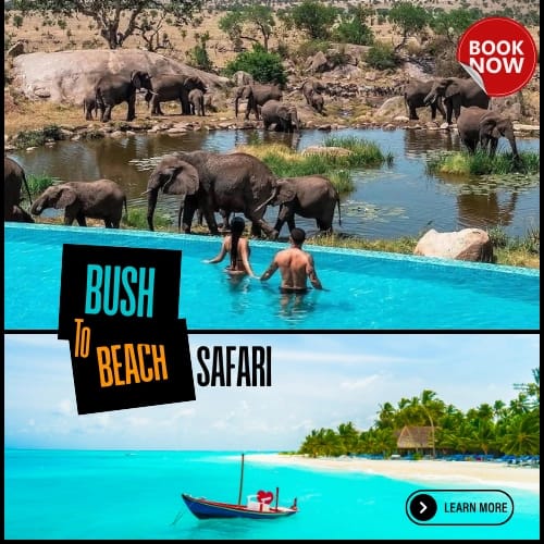 Sun, Sand & Adventure: Best Coastal Getaways in Kenya ( 1 Black 1