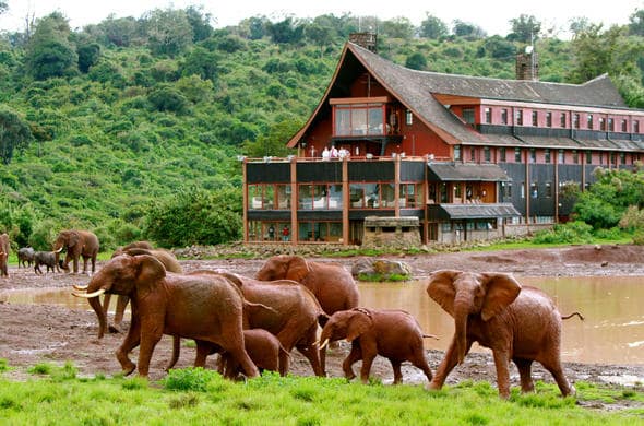 7 DAYS HERITAGE ESCAPES AND WILD WONDERS OF KENYA 2 arberdare