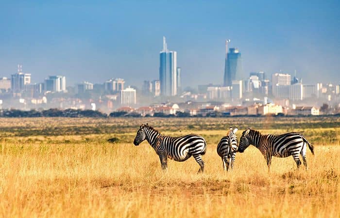 Attraction Destinations 7 Nairobi National Park 700x450 1