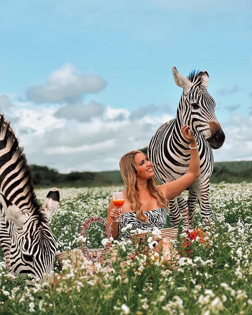 African safari tour ideas for vacation 1 SAFARI IMAGE 2