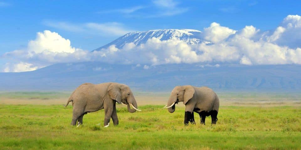 10 DAYS KENYA BUSH TO BEACH HOLIDAY 8 amboseli
