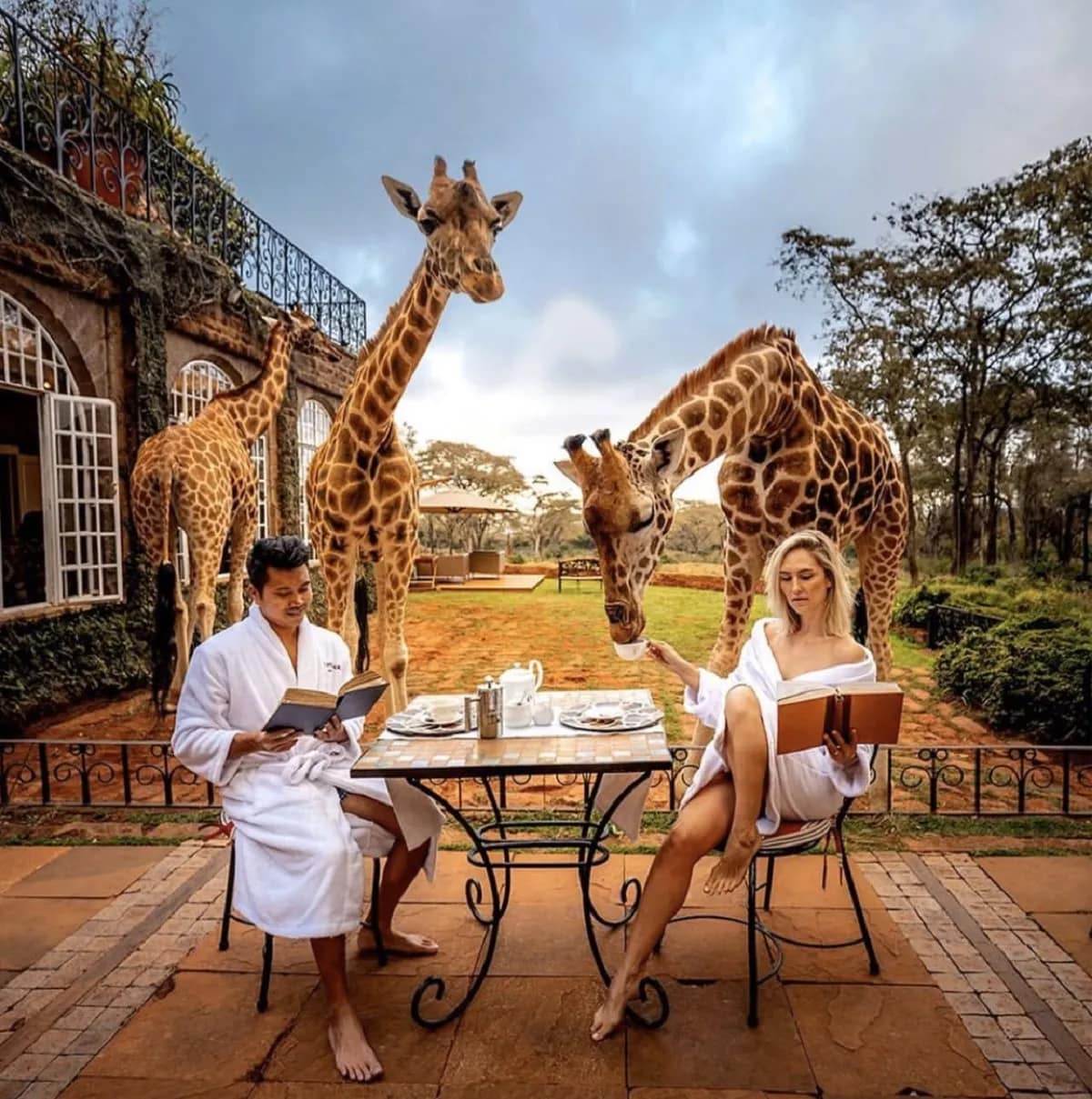 Karen Blixen and Girraffe Center Excursion 5