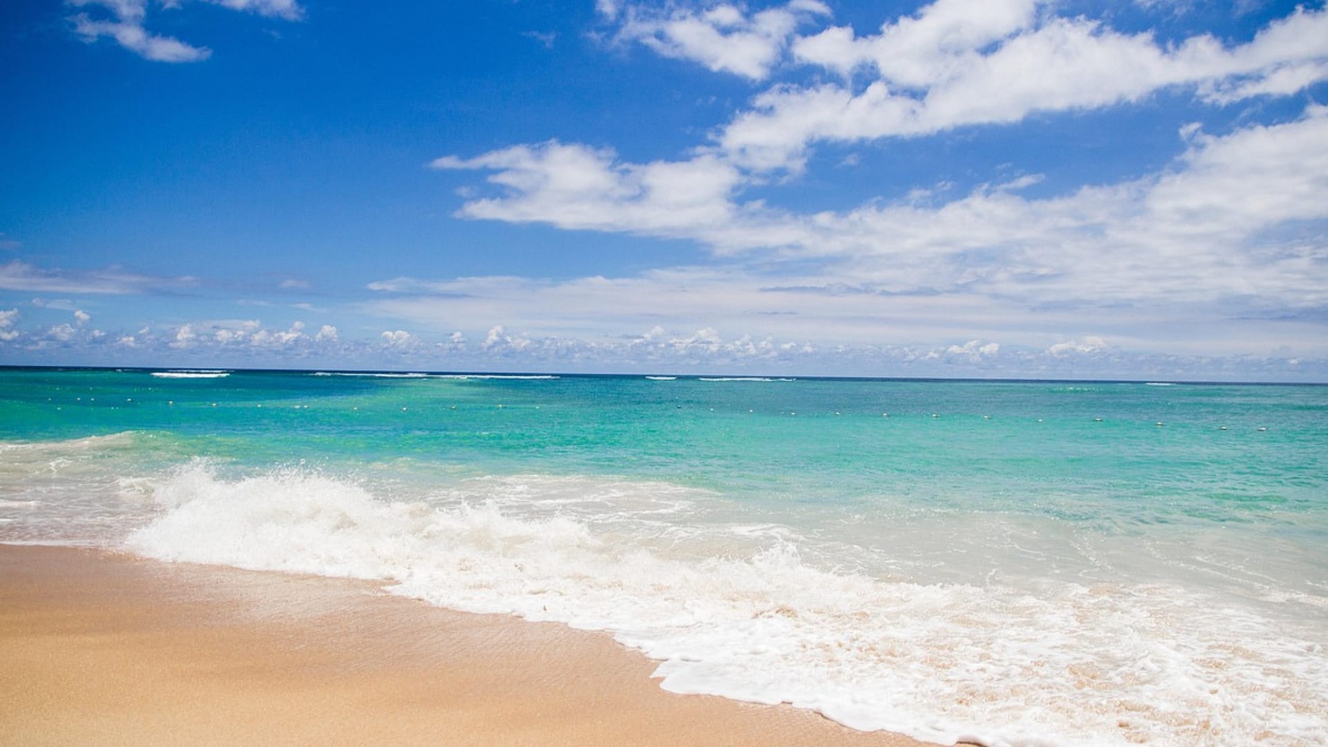 10 DAYS KENYA BUSH TO BEACH HOLIDAY 14 10 DAYS KENYA BUSH TO BEACH HOLIDAY