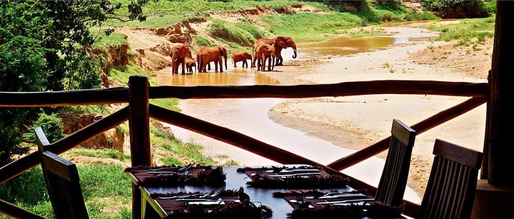 10 DAYS KENYA BUSH TO BEACH HOLIDAY 11 tsavo