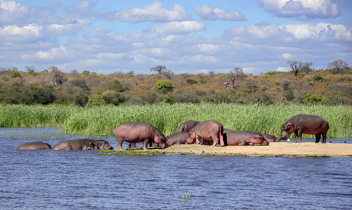 Planning a Budget-Friendly 7-Day Group Safari in Kenya 10