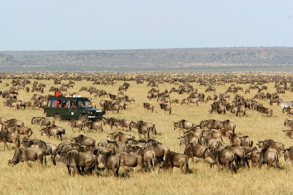 7 DAYS HERITAGE ESCAPES AND WILD WONDERS OF KENYA 3 lake nakuru africompass (2)