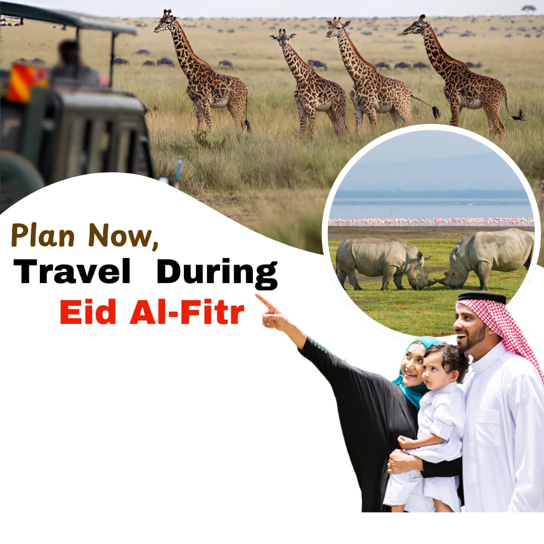 modern blue travel now