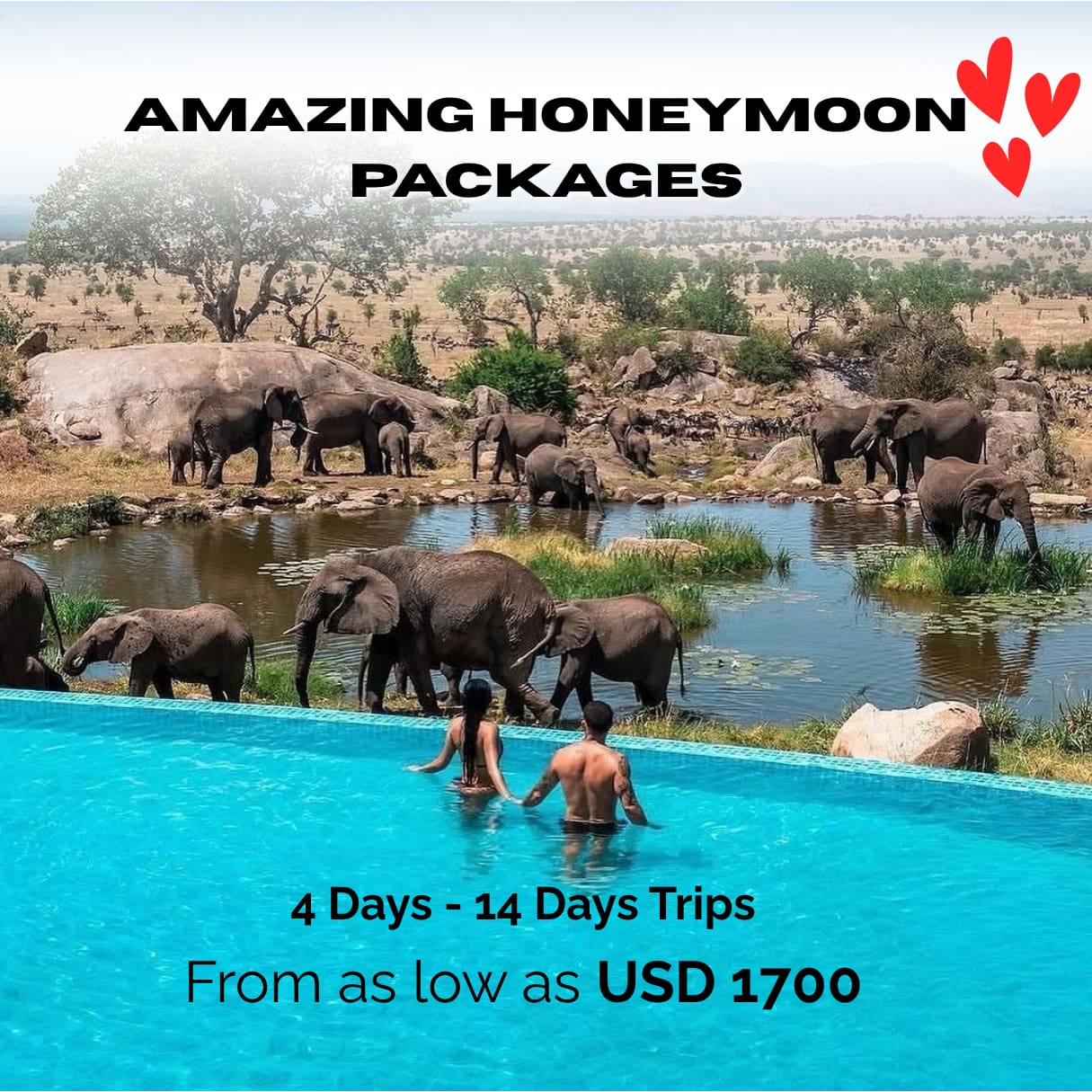 Amazing safari honeymoon packages 1 Honeymoon safari couple enjoying romantic sunset