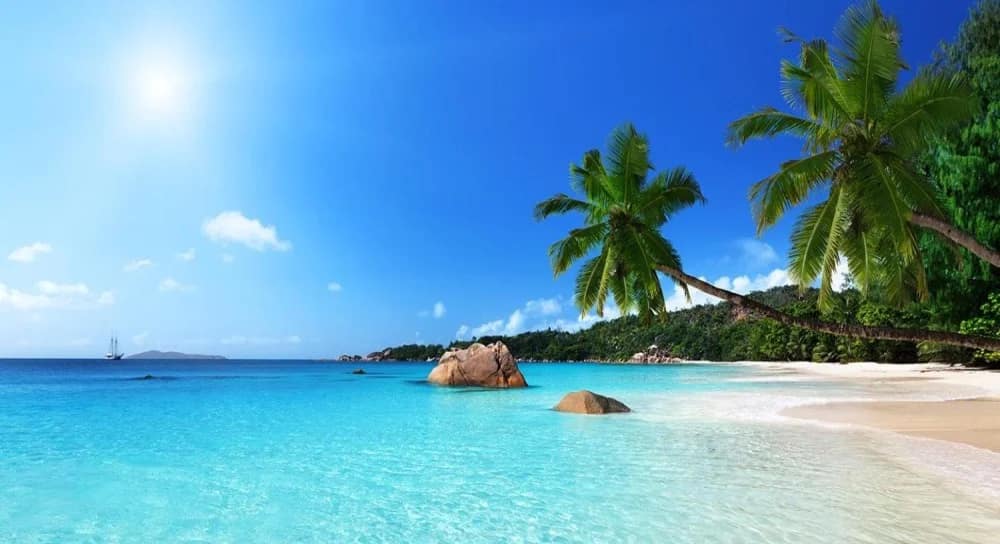 Amazing safari honeymoon packages 5 Couples relaxing by the ocean after safari