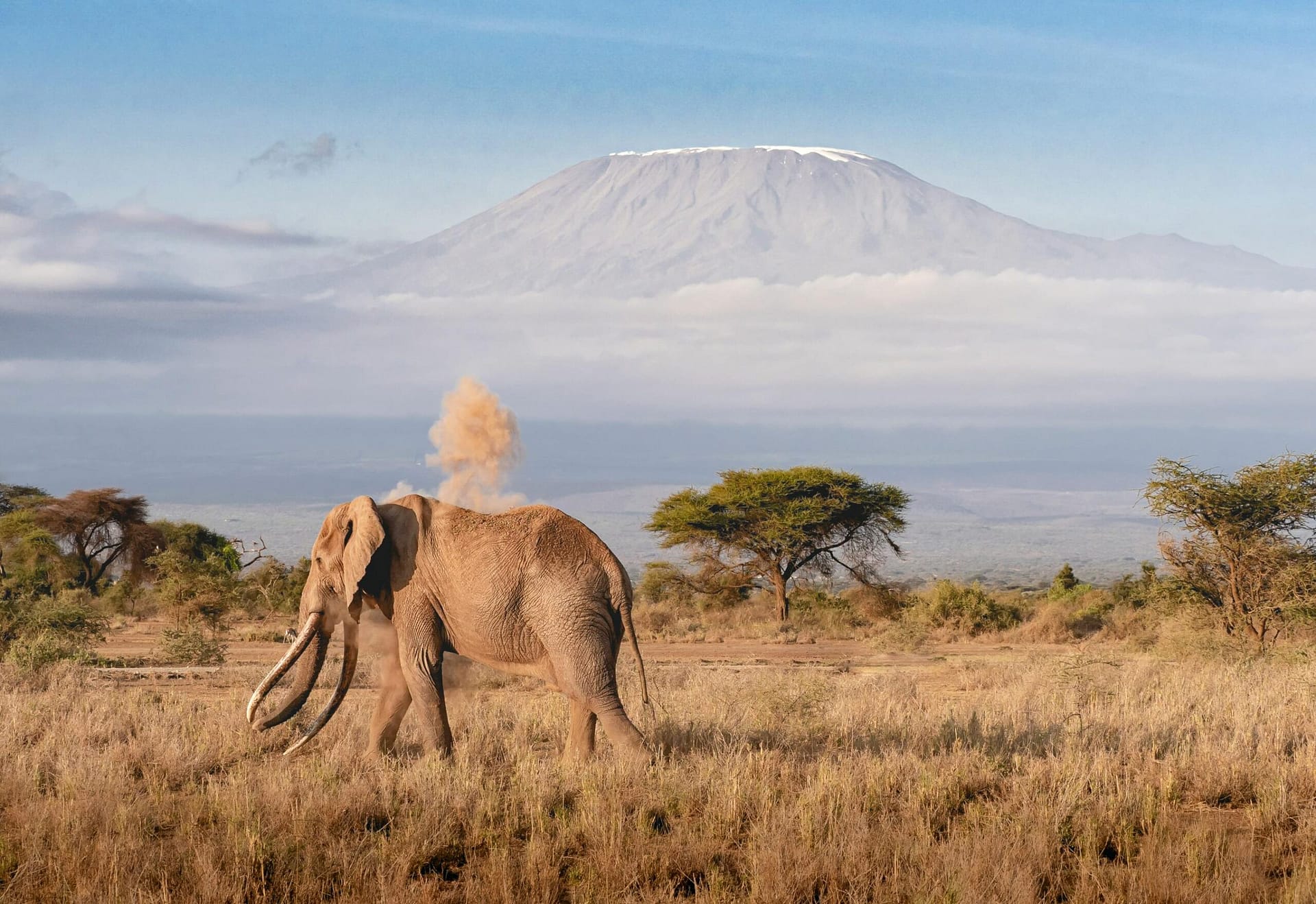 Planning a Budget-Friendly 7-Day Group Safari in Kenya 5 Safari adventure in Kenya