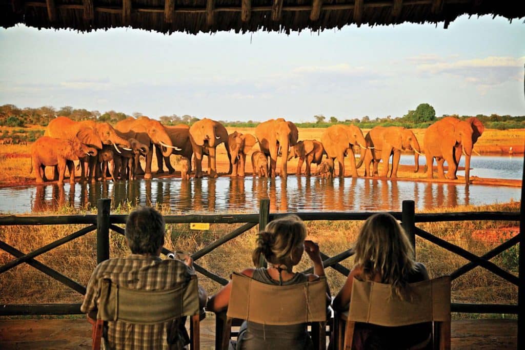 Tsavo (East and West ) National Park 3 Tsavo lodge accommodation