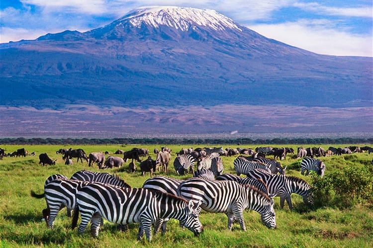 The Amboseli National Park 4 Amboseli National Park landscape